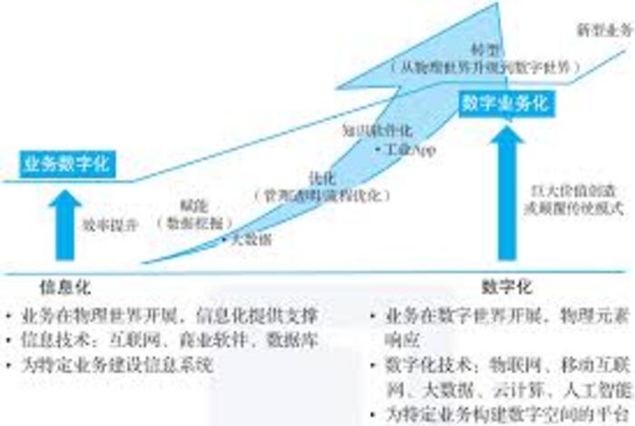 商品流通效率提升，专业贸易服务助力市